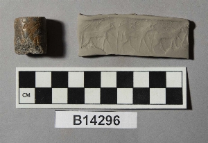 B14296