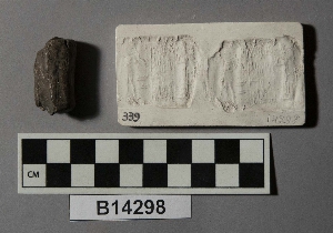 B14298