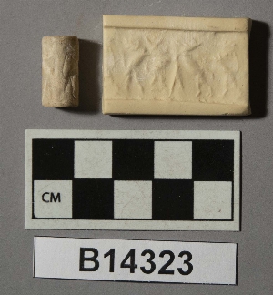 B14323