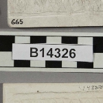 564352