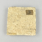 564905