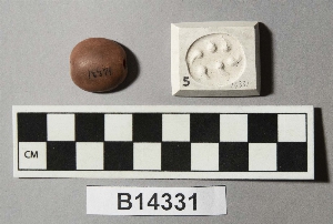 B14331