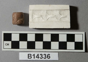 B14336