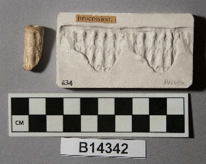 B14342
