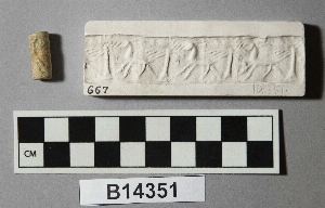 B14351