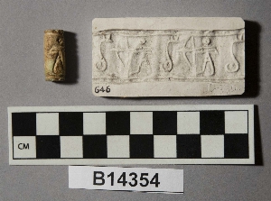 B14354