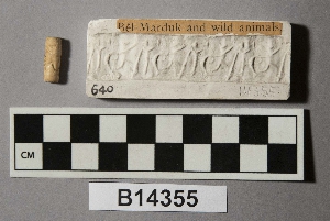 B14355