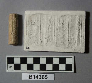 B14365
