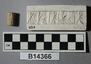 B14366