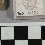 566098