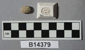 B14379