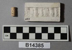 B14385