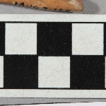 566213