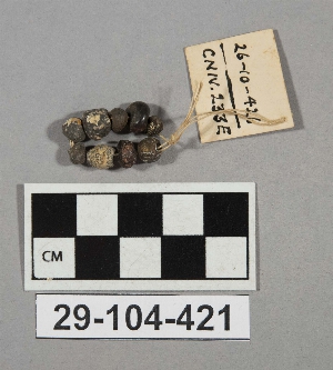 29-104-421