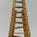 567005