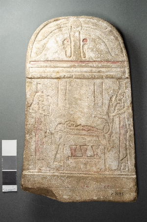 E16196