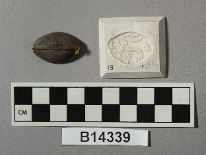 B14339