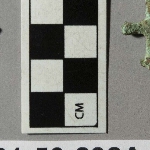 568372