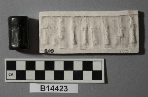 B14423