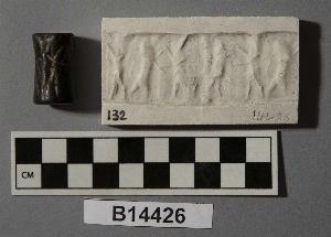 B14426