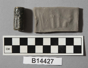 B14427