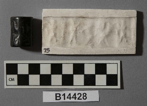 B14428