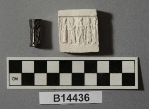 B14436