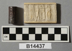 B14437