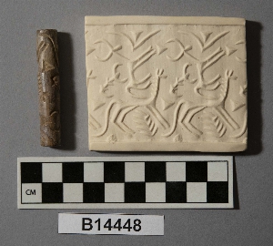 B14448
