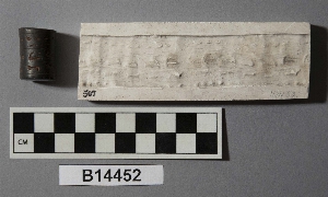 B14452