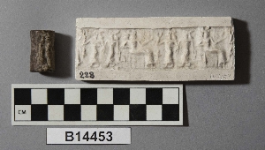 B14453