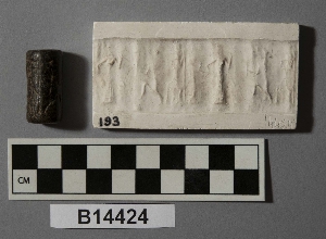 B14424