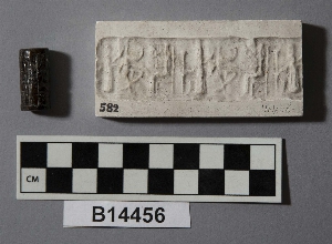 B14456