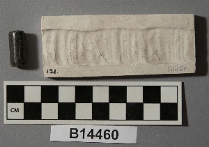 B14460