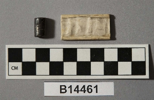 B14461