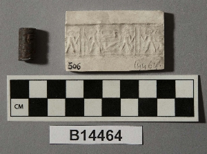 B14464