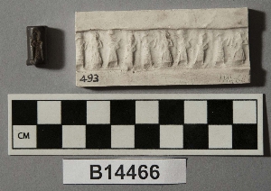 B14466