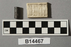 B14467