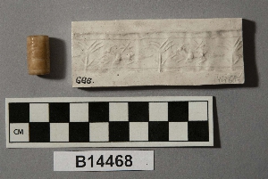 B14468