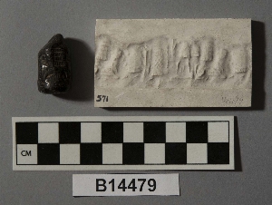 B14479