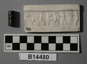 B14480