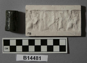 B14481
