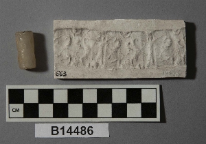 B14486