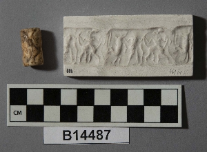 B14487