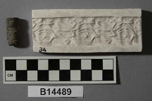 B14489