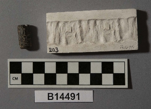 B14491