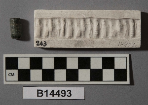 B14493