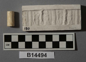 B14494