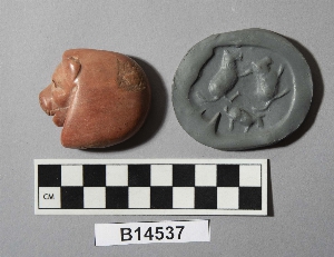 B14537