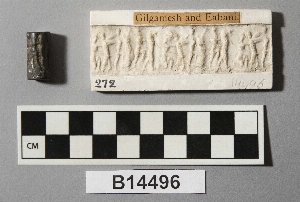 B14496